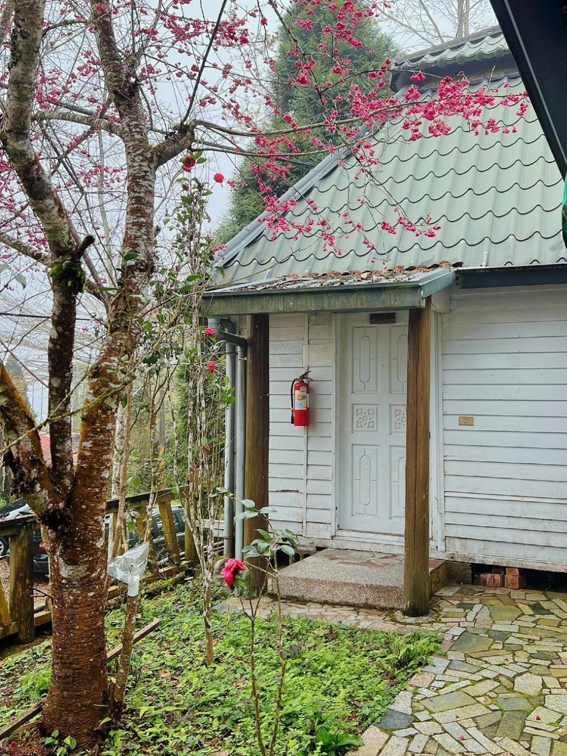 鹿谷乡溪头境庐森林渡假山庄别墅 外观 照片