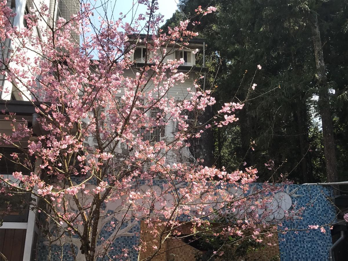 鹿谷乡溪头境庐森林渡假山庄别墅 外观 照片
